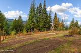 833 Drummond Peak Road - Photo 49