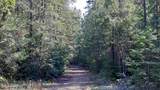 NNA Schneiders Rd - Photo 1