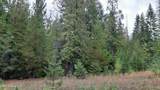 NNA Schneiders Rd - Photo 4
