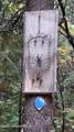 NNA Schneiders Rd - Photo 8