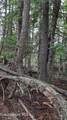 NNA Schneiders Rd - Photo 9