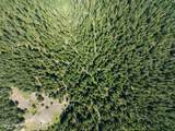 30acres Lamb Creek Rd - Photo 5