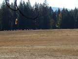 9076 Howard Rd - Photo 16