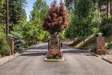 4173 Isaac Stevens Rd - Photo 100