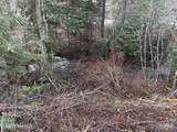 LOT 5 Flying Eagle Dr - Photo 3