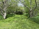 143 Fall Creek Rd - Photo 30