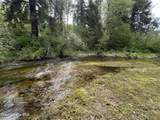 143 Fall Creek Rd - Photo 34