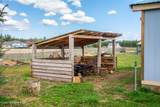 29394 Caribou Ave - Photo 41