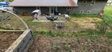 1811 Jefferson Ave - Photo 4