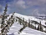 64 Marmot Circle - Photo 54