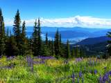 64 Marmot Circle - Photo 56