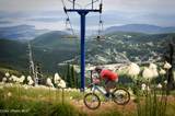 64 Marmot Circle - Photo 57