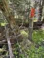 3190 Little Carpenter Creek Rd - Photo 14