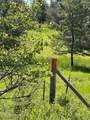 3190 Little Carpenter Creek Rd - Photo 20