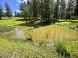 3190 Little Carpenter Creek Rd - Photo 25
