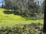 3190 Little Carpenter Creek Rd - Photo 47