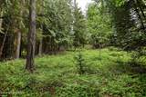 Lot A5 Idaho Club Dr - Photo 29
