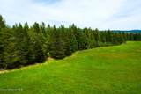 NNA Lupine Rd - Photo 26