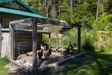 561 Brown Creek Rd - Photo 25