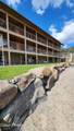 34152 Lakeside Ave - Photo 42