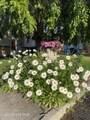 4716 Eva Rd - Photo 39