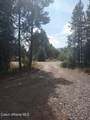 517 Westwood Drive - Photo 32