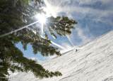 8707 Schweitzer Mountain Rd - Photo 46