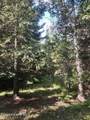 368 Trillium Ln - Photo 51