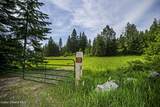 139 Two Tail Rd - Photo 7