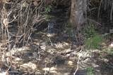 718A Slippery Slope Trl - Photo 62