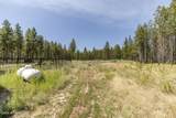 44 Elsa Ct - Photo 45