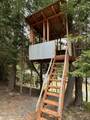 122 Sapling Lane - Photo 45