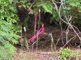 122 Sapling Lane - Photo 51