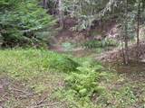 122 Sapling Lane - Photo 53