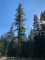 L3B10 Walden Loop - Photo 5