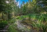 3382 Dusty Ln - Photo 46