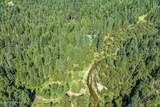 6973 Upper Gold Creek Rd - Photo 43