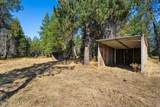 853 Berry Patch Loop - Photo 52
