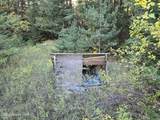 3008 Fork Pine Creek - Photo 49