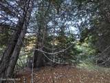 3008 Fork Pine Creek - Photo 58