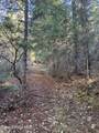 30.91acs French Gulch Rd - Photo 2