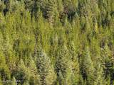 NNA Moyie River Rd Lot 2 And 3 - Photo 18