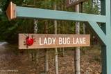 NKA Lady Bug Ln - Photo 3
