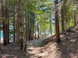  Lot 5 Brown Bear Dr - Photo 13
