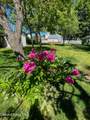 509 Olive Ave - Photo 35