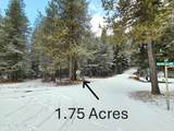 NNA Bear Claw Rd - Photo 1