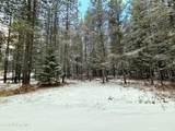 NNA Bear Claw Rd - Photo 5