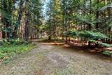344 Upper Gold Creek Road - Photo 54
