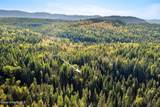 344 Upper Gold Creek Road - Photo 66