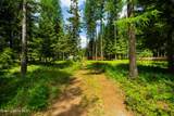 41 Pinecone Rd - Photo 60